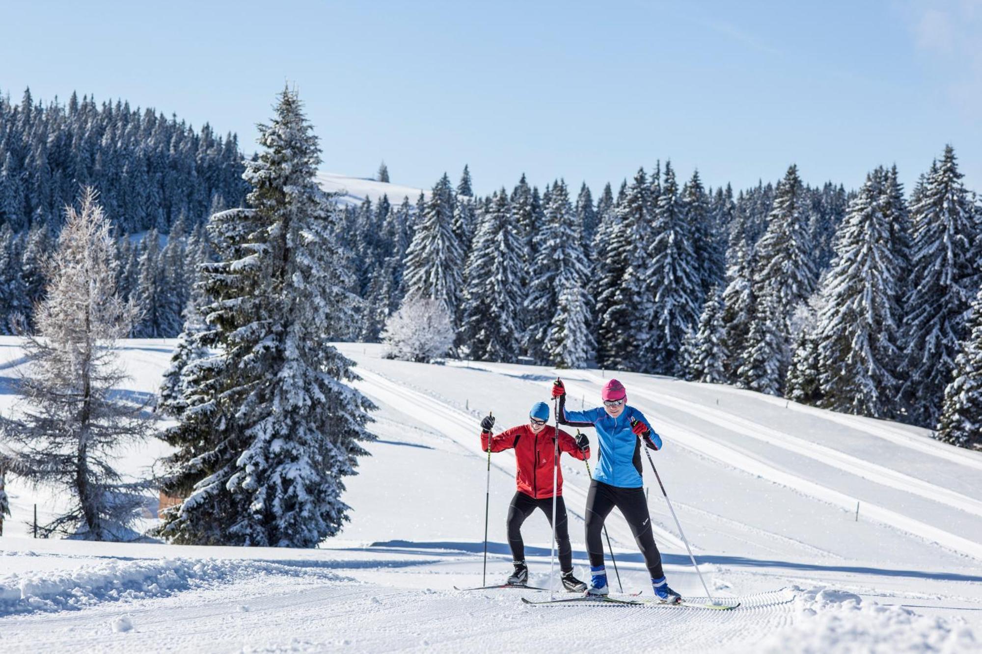 Ferienwohnung Seeblick Nr 5, 2 Zi-Baerental, Feldberg Rotwasser Exteriér fotografie