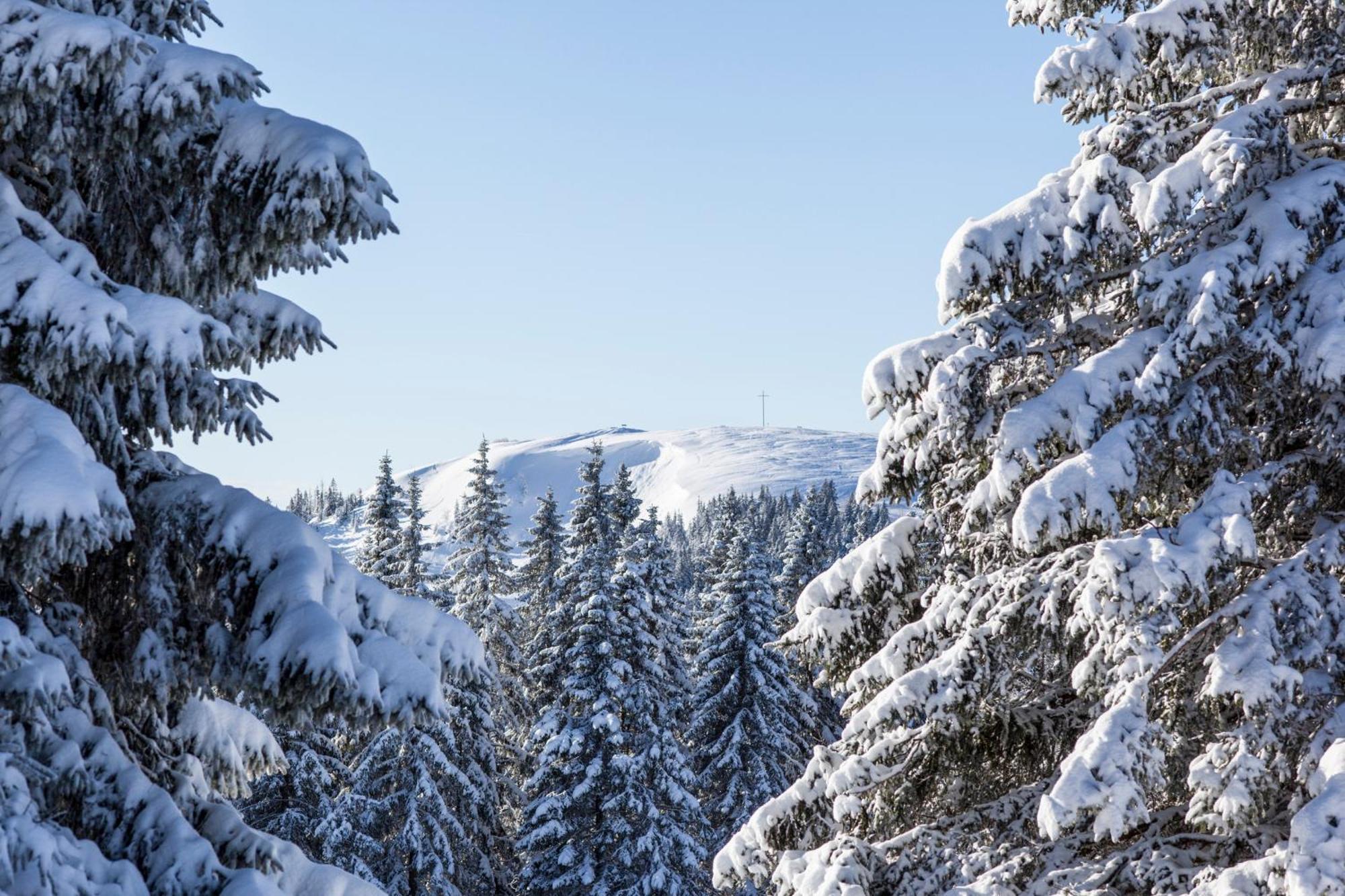 Ferienwohnung Seeblick Nr 5, 2 Zi-Baerental, Feldberg Rotwasser Exteriér fotografie