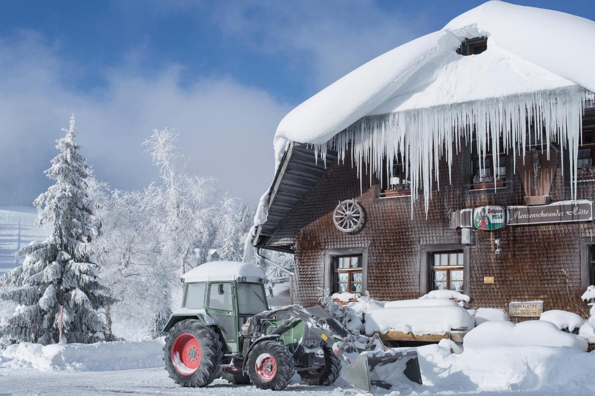 Ferienwohnung Seeblick Nr 5, 2 Zi-Baerental, Feldberg Rotwasser Exteriér fotografie